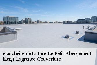 etancheite de toiture le-petit-abergement-01260 Kenji Lagrenee Couverture