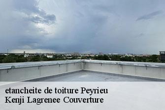 etancheite de toiture peyrieu-01300 Kenji Lagrenee Couverture