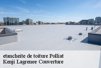 etancheite de toiture polliat-01310 Kenji Lagrenee Couverture