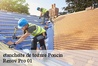 etancheite de toiture  poncin-01450 Renov Pro 01