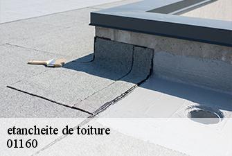 etancheite de toiture  pont-d-ain-01160 Beaudier Couverture 