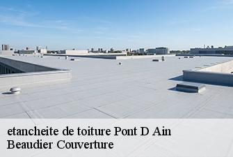 etancheite de toiture  pont-d-ain-01160 Beaudier Couverture 