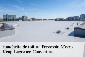 etancheite de toiture prevessin-moens-01280 Kenji Lagrenee Couverture