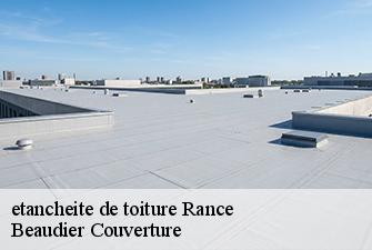 etancheite de toiture  rance-01390 Beaudier Couverture 