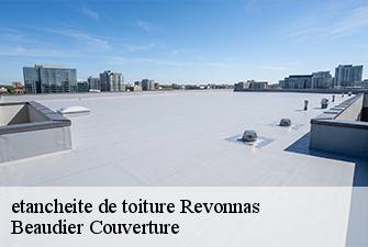 etancheite de toiture  revonnas-01250 Beaudier Couverture 