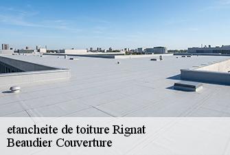 etancheite de toiture  rignat-01250 Beaudier Couverture 