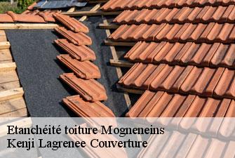 Etanchéité toiture  mogneneins-01140 Kenji Lagrenee Couverture
