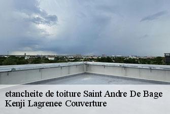 etancheite de toiture saint-andre-de-bage-01380 Kenji Lagrenee Couverture