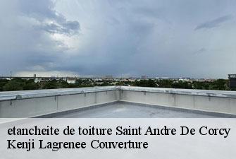 etancheite de toiture  saint-andre-de-corcy-01390 Kenji Lagrenee Couverture