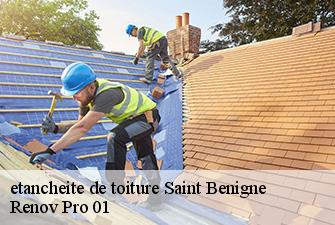 etancheite de toiture  saint-benigne-01190 Renov Pro 01