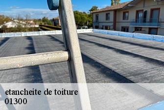 etancheite de toiture saint-benoit-01300 Renov Pro 01