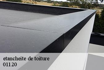 etancheite de toiture  sainte-croix-01120 Renov Pro 01
