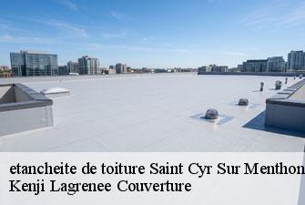 etancheite de toiture saint-cyr-sur-menthon-01380 Kenji Lagrenee Couverture