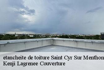 etancheite de toiture saint-cyr-sur-menthon-01380 Kenji Lagrenee Couverture