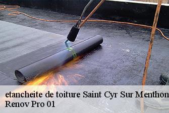 etancheite de toiture  saint-cyr-sur-menthon-01380 Renov Pro 01