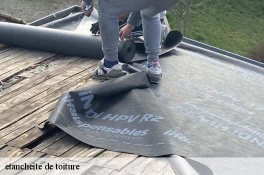 etancheite de toiture  saint-denis-les-bourg-01000 FC Toiture