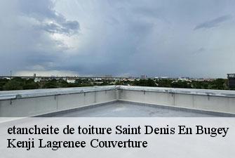 etancheite de toiture saint-denis-en-bugey-01500 Kenji Lagrenee Couverture
