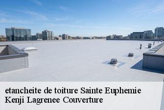 etancheite de toiture sainte-euphemie-01600 Kenji Lagrenee Couverture