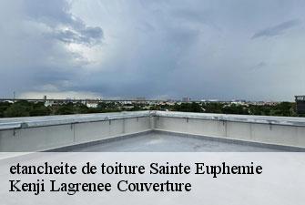 etancheite de toiture sainte-euphemie-01600 Kenji Lagrenee Couverture