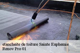 etancheite de toiture  sainte-euphemie-01600 Renov Pro 01