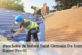 etancheite de toiture  saint-germain-de-joux-01130 Renov Pro 01