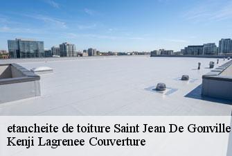 etancheite de toiture saint-jean-de-gonville-01630 Kenji Lagrenee Couverture