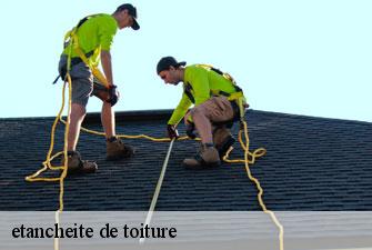 etancheite de toiture saint-jean-de-gonville-01630 Kenji Lagrenee Couverture