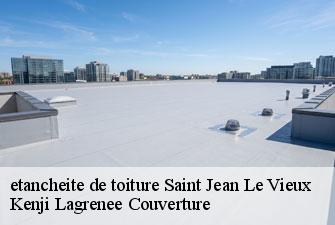 etancheite de toiture saint-jean-le-vieux-01640 Kenji Lagrenee Couverture