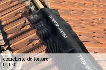 etancheite de toiture  sainte-julie-01150 