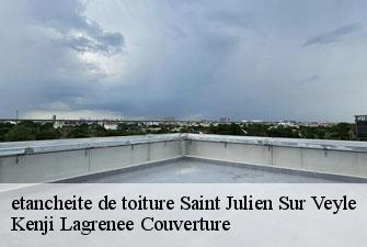etancheite de toiture saint-julien-sur-veyle-01540 Kenji Lagrenee Couverture