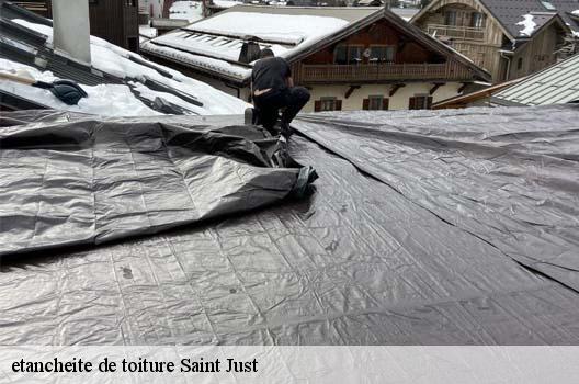 etancheite de toiture  saint-just-01250 