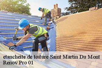 etancheite de toiture  saint-martin-du-mont-01160 Renov Pro 01