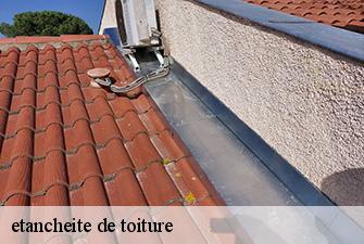 etancheite de toiture  saint-martin-le-chatel-01310 Renov Pro 01
