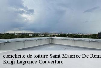 etancheite de toiture saint-maurice-de-remens-01500 Kenji Lagrenee Couverture