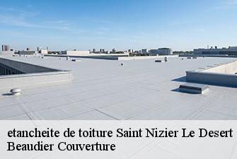 etancheite de toiture  saint-nizier-le-desert-01320 Beaudier Couverture 