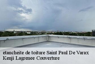 etancheite de toiture  saint-paul-de-varax-01240 Kenji Lagrenee Couverture
