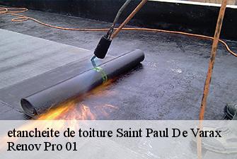 etancheite de toiture  saint-paul-de-varax-01240 Renov Pro 01