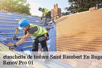etancheite de toiture  saint-rambert-en-bugey-01230 Renov Pro 01