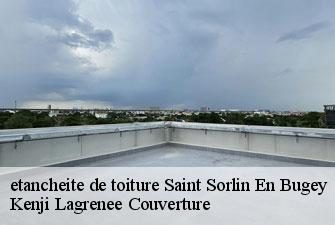 etancheite de toiture saint-sorlin-en-bugey-01150 Kenji Lagrenee Couverture