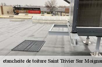 etancheite de toiture  saint-trivier-sur-moignans-01990 