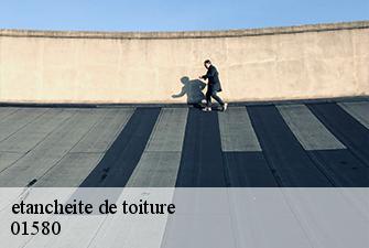 etancheite de toiture  samognat-01580 Beaudier Couverture 