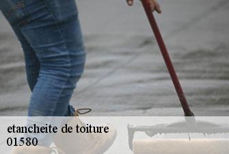 etancheite de toiture  samognat-01580 Kenji Lagrenee Couverture
