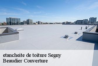 etancheite de toiture  segny-01170 Beaudier Couverture 