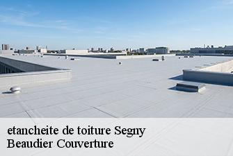 etancheite de toiture  segny-01170 Beaudier Couverture 