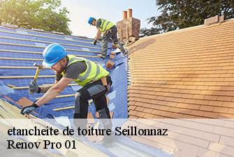 etancheite de toiture  seillonnaz-01470 Renov Pro 01