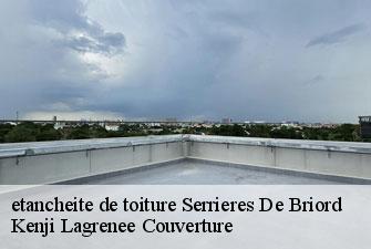 etancheite de toiture serrieres-de-briord-01470 Kenji Lagrenee Couverture
