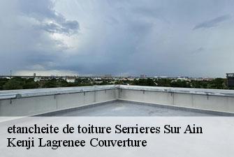 etancheite de toiture serrieres-sur-ain-01450 Kenji Lagrenee Couverture