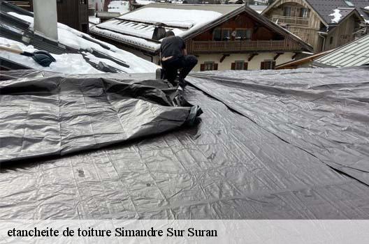 etancheite de toiture  simandre-sur-suran-01250 