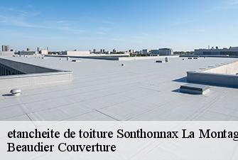 etancheite de toiture  sonthonnax-la-montagne-01580 Beaudier Couverture 