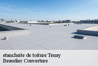 etancheite de toiture  tenay-01230 Beaudier Couverture 